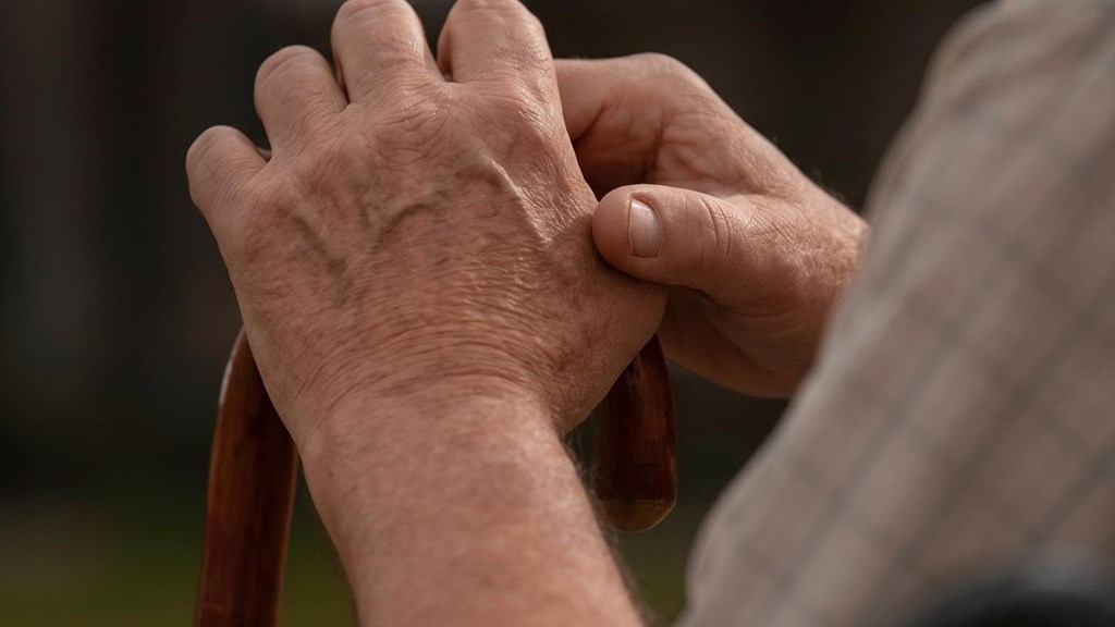 ¿Qué ocurre si la persona sujeta a curatela recupera su capacidad?